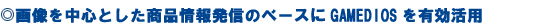 �摜�𒆐S�Ƃ������i��񔭐M�̃x�[�X��GAMEDIOS��L�����p