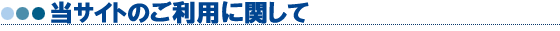 ���T�C�g�̂����p�Ɋւ���